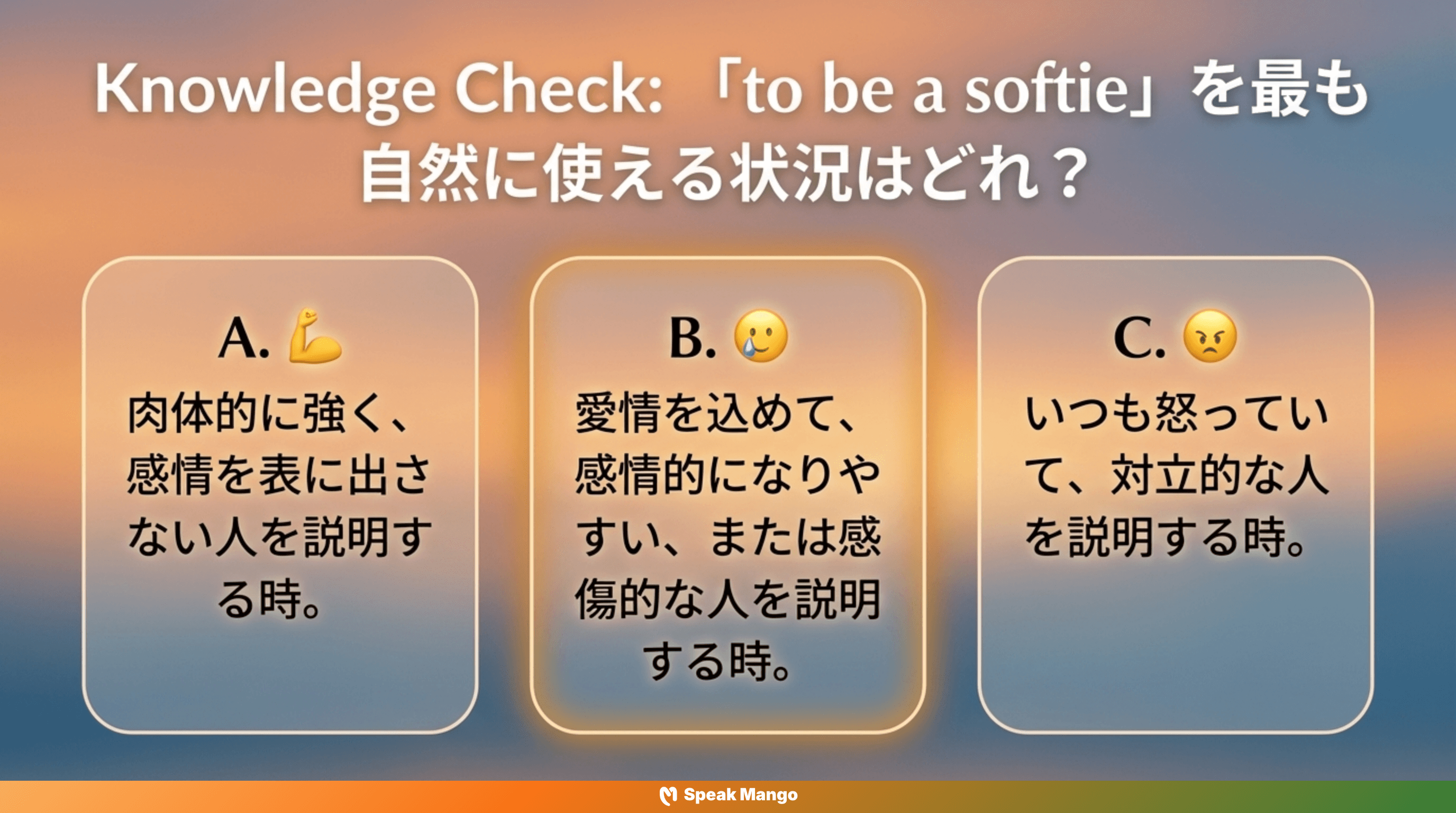 感動しやすい人のための英語表現「softie」の意味と使い方 - Slide 10